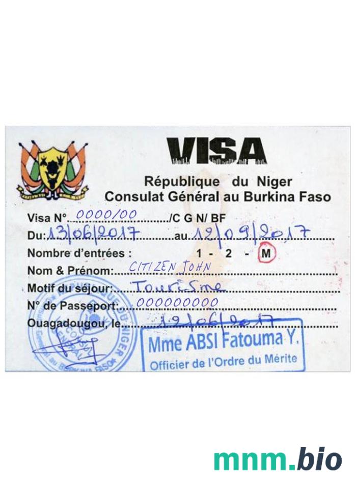 Niger travel visa przykład w PSD